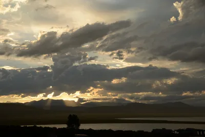 DSC_3304 (Large).JPG